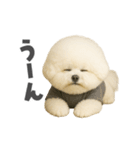 ビジョンフリーゼに癒されたい（個別スタンプ：32）