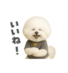 ビジョンフリーゼに癒されたい（個別スタンプ：33）