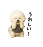 ビジョンフリーゼに癒されたい（個別スタンプ：35）