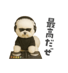 ビジョンフリーゼに癒されたい（個別スタンプ：37）
