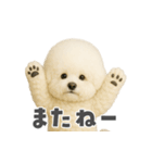 ビジョンフリーゼに癒されたい（個別スタンプ：40）
