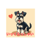 ペットのミニチュアシュナウザー（個別スタンプ：6）