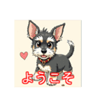 ペットのミニチュアシュナウザー（個別スタンプ：7）