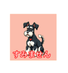ペットのミニチュアシュナウザー（個別スタンプ：11）