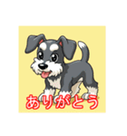 ペットのミニチュアシュナウザー（個別スタンプ：14）