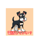 ペットのミニチュアシュナウザー（個別スタンプ：19）