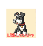 ペットのミニチュアシュナウザー（個別スタンプ：20）