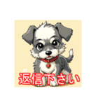 ペットのミニチュアシュナウザー（個別スタンプ：21）