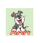 ペットのミニチュアシュナウザー（個別スタンプ：24）