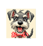 ペットのミニチュアシュナウザー（個別スタンプ：29）