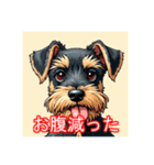 ペットのミニチュアシュナウザー（個別スタンプ：31）