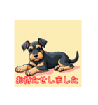 ペットのミニチュアシュナウザー（個別スタンプ：34）