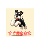ペットのミニチュアシュナウザー（個別スタンプ：37）