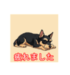 ペットのミニチュアシュナウザー（個別スタンプ：38）