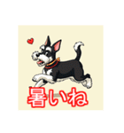 ペットのミニチュアシュナウザー（個別スタンプ：40）