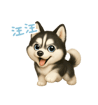 わんで伝えるハスキー TW（個別スタンプ：3）