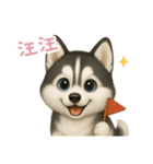 わんで伝えるハスキー TW（個別スタンプ：5）