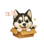 わんで伝えるハスキー TW（個別スタンプ：7）