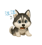わんで伝えるハスキー TW（個別スタンプ：9）