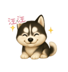 わんで伝えるハスキー TW（個別スタンプ：11）