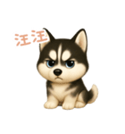 わんで伝えるハスキー TW（個別スタンプ：13）