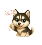 わんで伝えるハスキー TW（個別スタンプ：16）