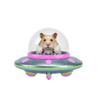うごく！UFOに乗ったハムスター（個別スタンプ：5）