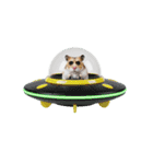 うごく！UFOに乗ったハムスター（個別スタンプ：9）