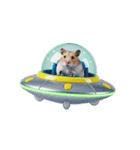 うごく！UFOに乗ったハムスター（個別スタンプ：24）