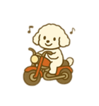 白いプードルのバイク乗り 日本語（個別スタンプ：2）