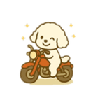 白いプードルのバイク乗り 日本語（個別スタンプ：3）