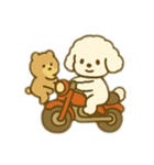 白いプードルのバイク乗り 日本語（個別スタンプ：8）
