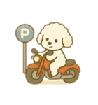 白いプードルのバイク乗り 日本語（個別スタンプ：16）