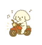 白いプードルのバイク乗り 日本語（個別スタンプ：17）