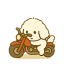 白いプードルのバイク乗り 日本語（個別スタンプ：19）