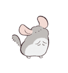 喋らなければかわいいチンチラ（個別スタンプ：1）