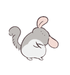 喋らなければかわいいチンチラ（個別スタンプ：5）