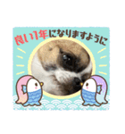 キック＆キック（個別スタンプ：4）