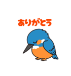 カワセミン（挨拶 ①）（個別スタンプ：4）
