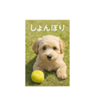 mix dog チワプー（個別スタンプ：8）