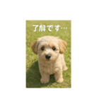 mix dog チワプー（個別スタンプ：16）