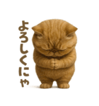 キモブサカワ16(エキゾチックショートヘア)（個別スタンプ：9）