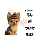 AIチワワのらんちゃんシンプルスタンプ③（個別スタンプ：6）