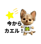 AIチワワのらんちゃんシンプルスタンプ③（個別スタンプ：8）