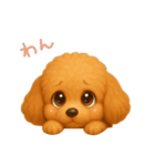 わんで伝えるトイプードル JP（個別スタンプ：7）