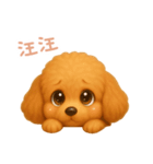 わんで伝えるトイプードル TW（個別スタンプ：7）