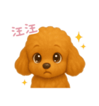 わんで伝えるトイプードル TW（個別スタンプ：11）