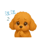 わんで伝えるトイプードル TW（個別スタンプ：12）