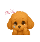 わんで伝えるトイプードル TW（個別スタンプ：14）