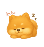 わんで伝えるポメラニアン JP（個別スタンプ：4）